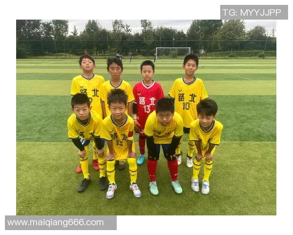 深入剖析上海足球队各位置技术特点与战术优势的全面对比