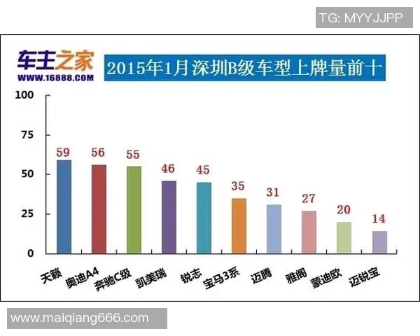 独家分析：深圳篮球队的节奏对比